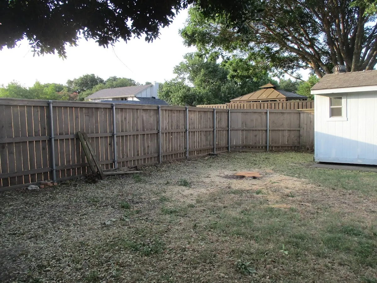 Cleared yard after professional tree removal in Jefferson Valley